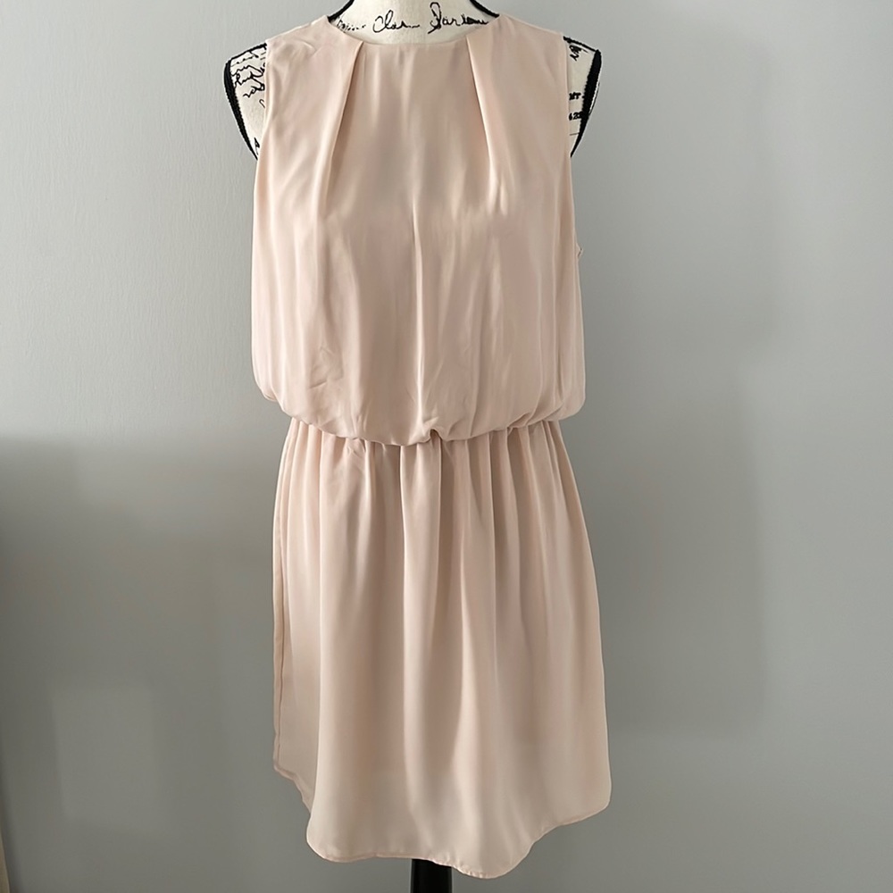 Blush H&M Dress
